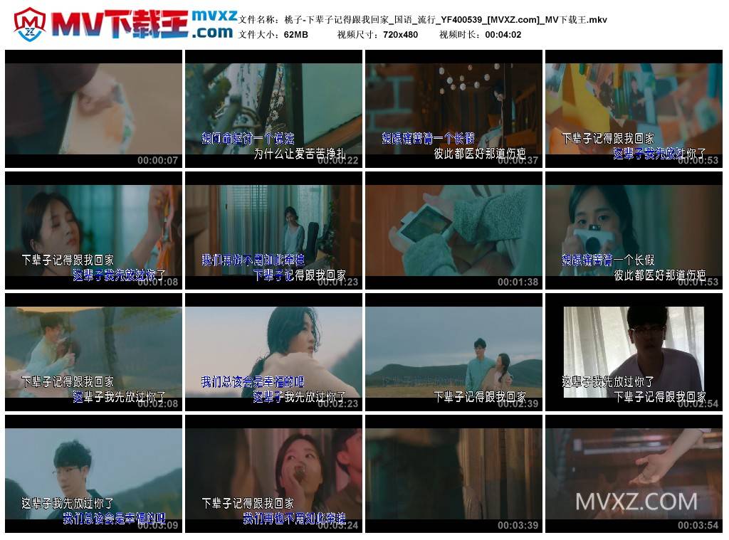 桃子-下辈子记得跟我回家_国语_流行_YF400539